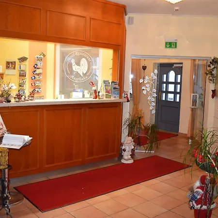 Kurhotel Auerhahn Hotel