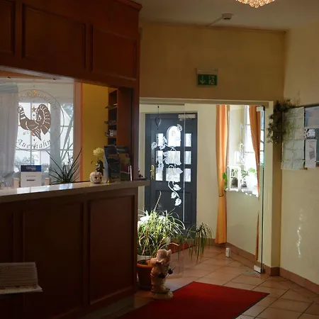 Kurhotel Auerhahn 3*