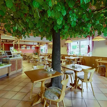 Auerhahn Hotel 3*