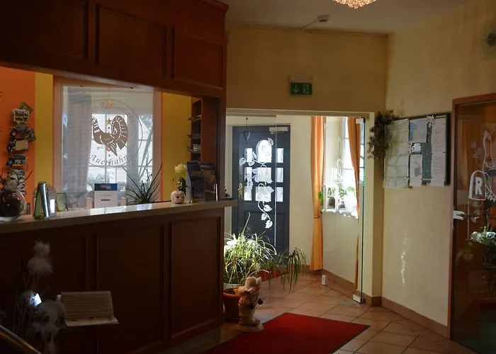 Otel Auerhahn Masserberg